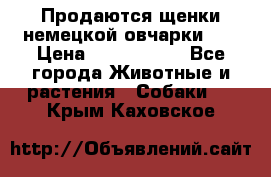 Продаются щенки немецкой овчарки!!! › Цена ­ 6000-8000 - Все города Животные и растения » Собаки   . Крым,Каховское